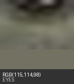 Eye crop