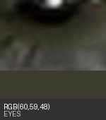 Eye crop