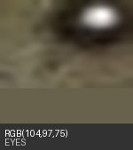 Eye crop