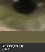 Eye crop