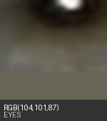 Eye crop