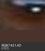 Eye crop