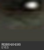 Eye crop